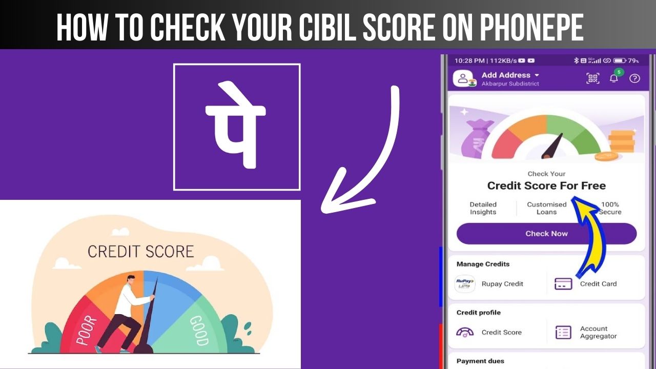 How to Check Your CIBIL Score on PhonePe